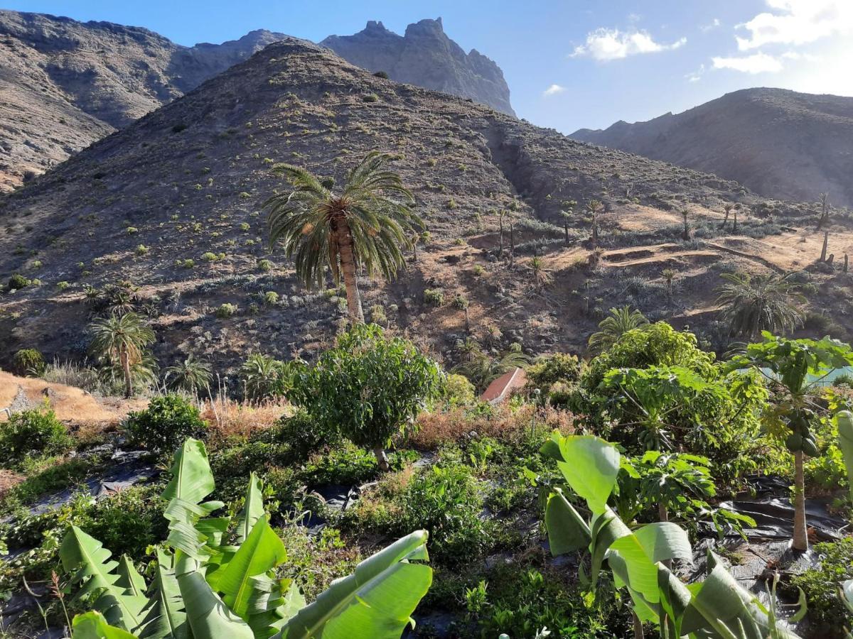 Casa Rural La Vega Alojera Eksteriør bilde