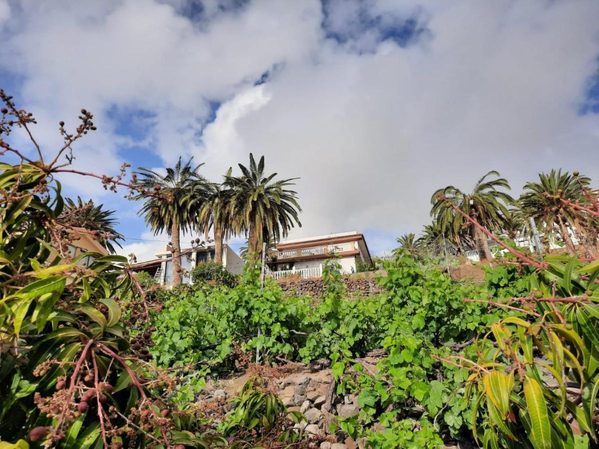 Casa Rural La Vega Alojera Eksteriør bilde