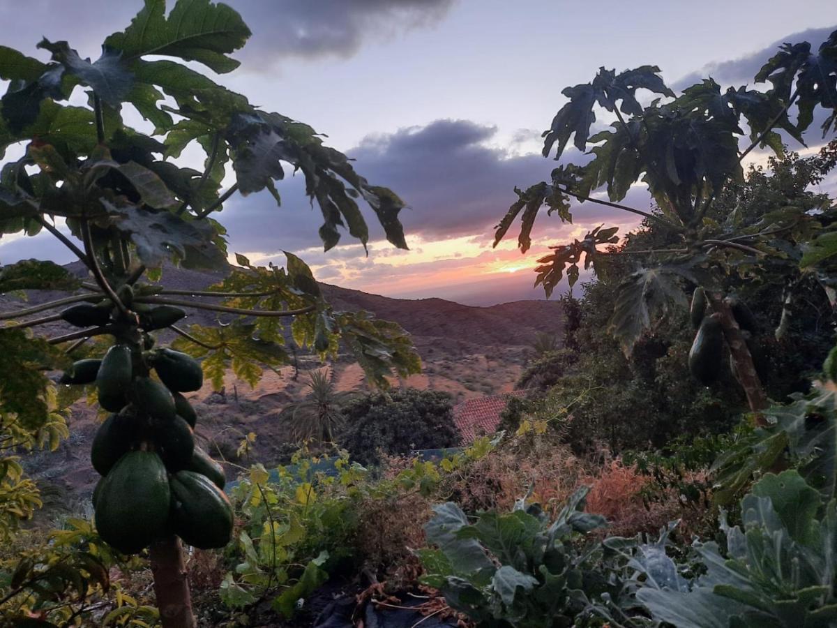 Casa Rural La Vega Alojera Eksteriør bilde