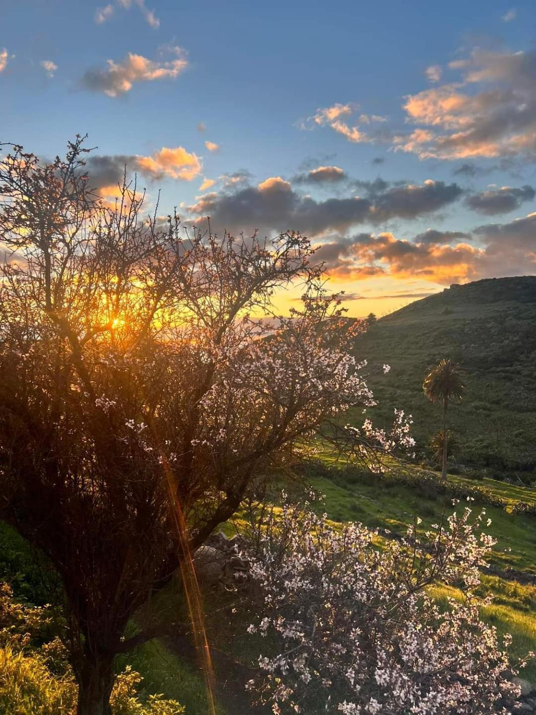 Casa Rural La Vega Alojera Eksteriør bilde